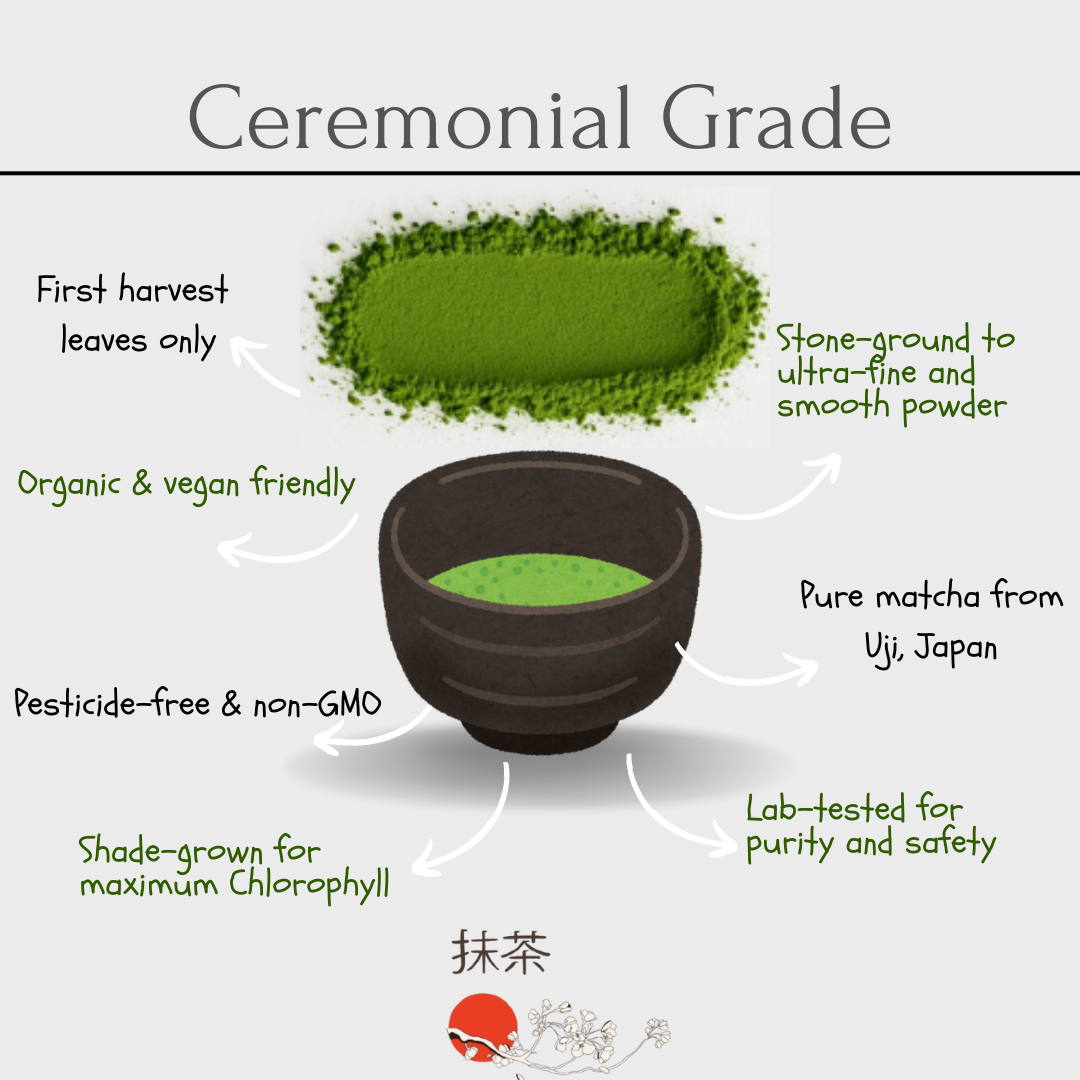 Ceremonial Matcha | First Harvest | Finest Grade from Uji, Japan | Pure & Fresh