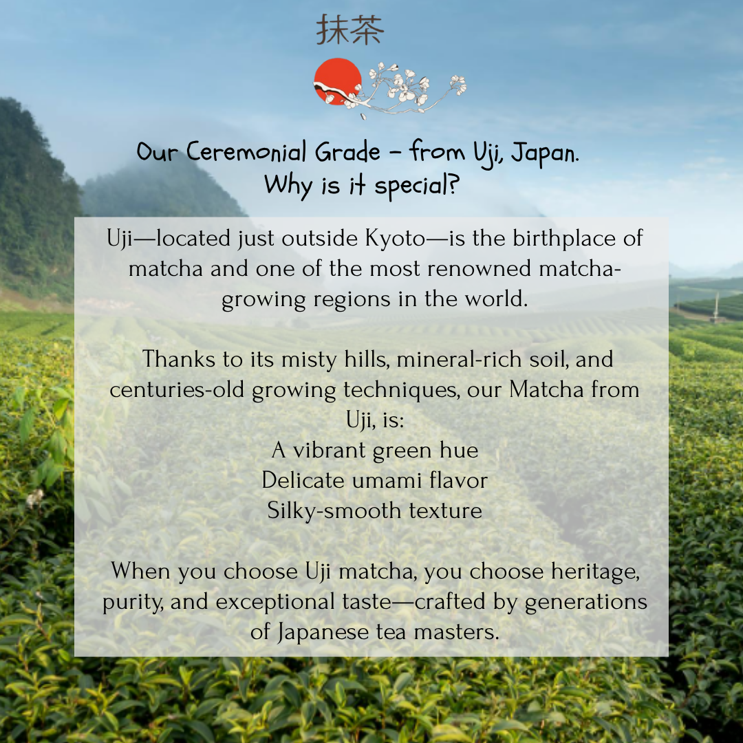 Ceremonial Matcha | First Harvest | Finest Grade from Uji, Japan | Pure & Fresh